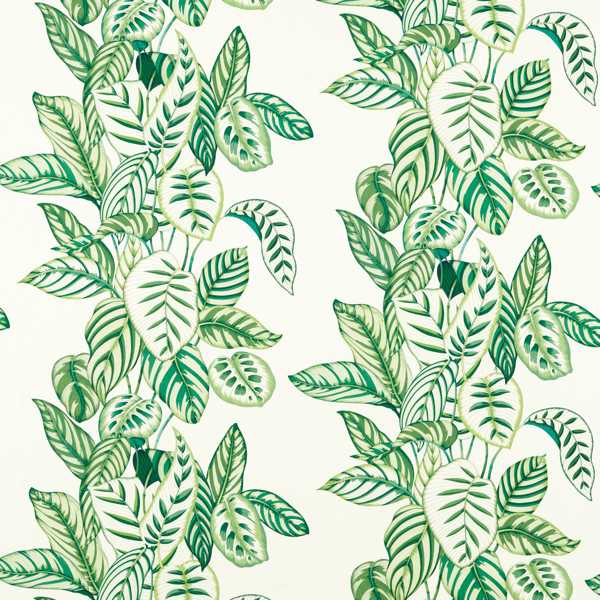 Sanderson Fabric Calathea