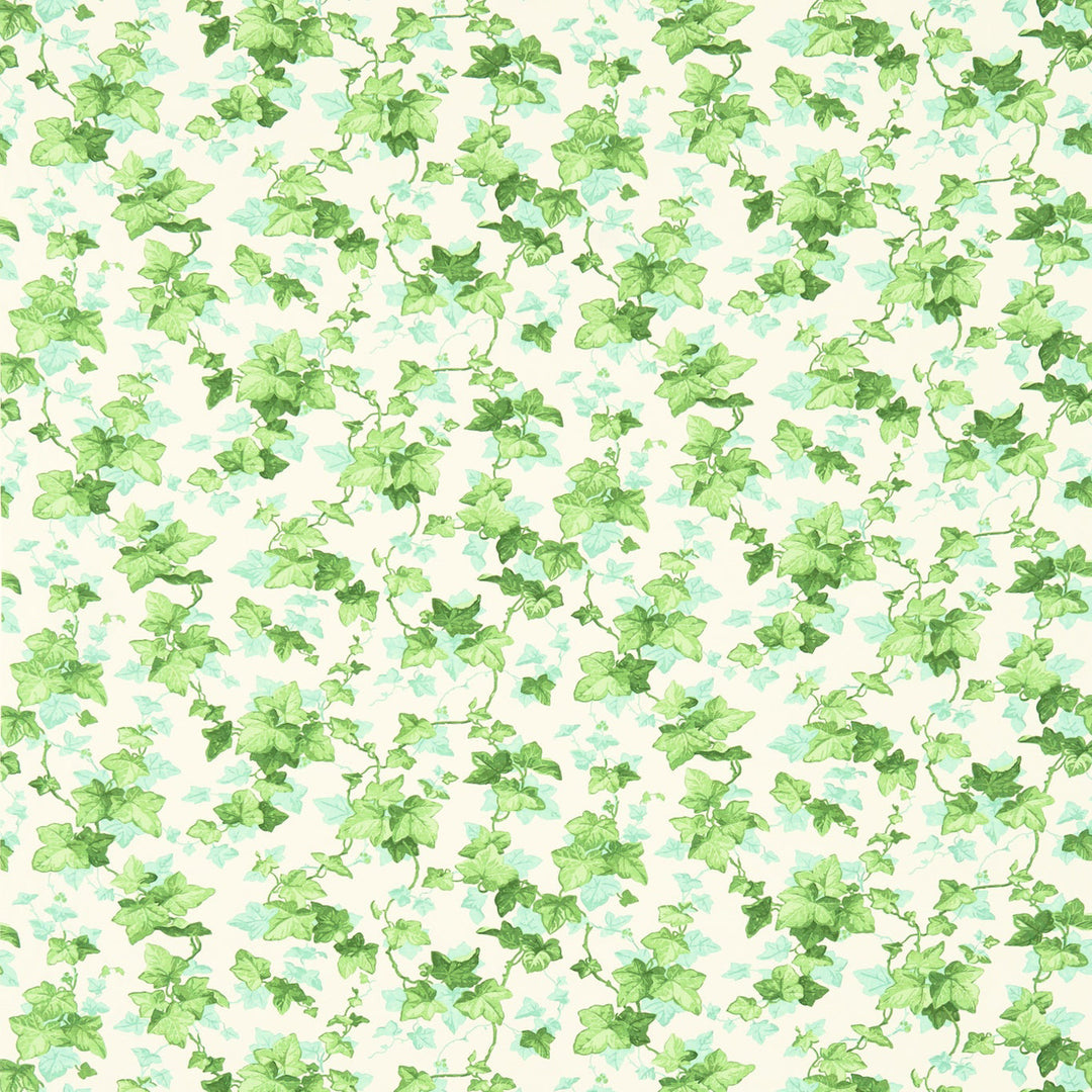 Hedera Tygprov
