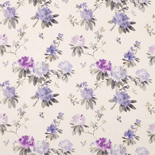 Sandersonin kangas Rhodera