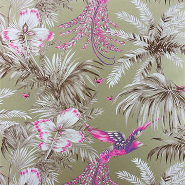 Birds Of Paradise Tapetprov