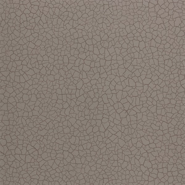 Zoffany Wallpaper Cracked Earth