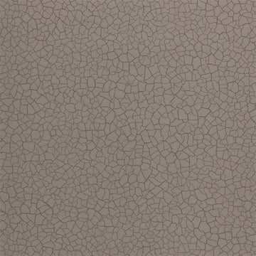 Zoffany Tapetprov Cracked Earth