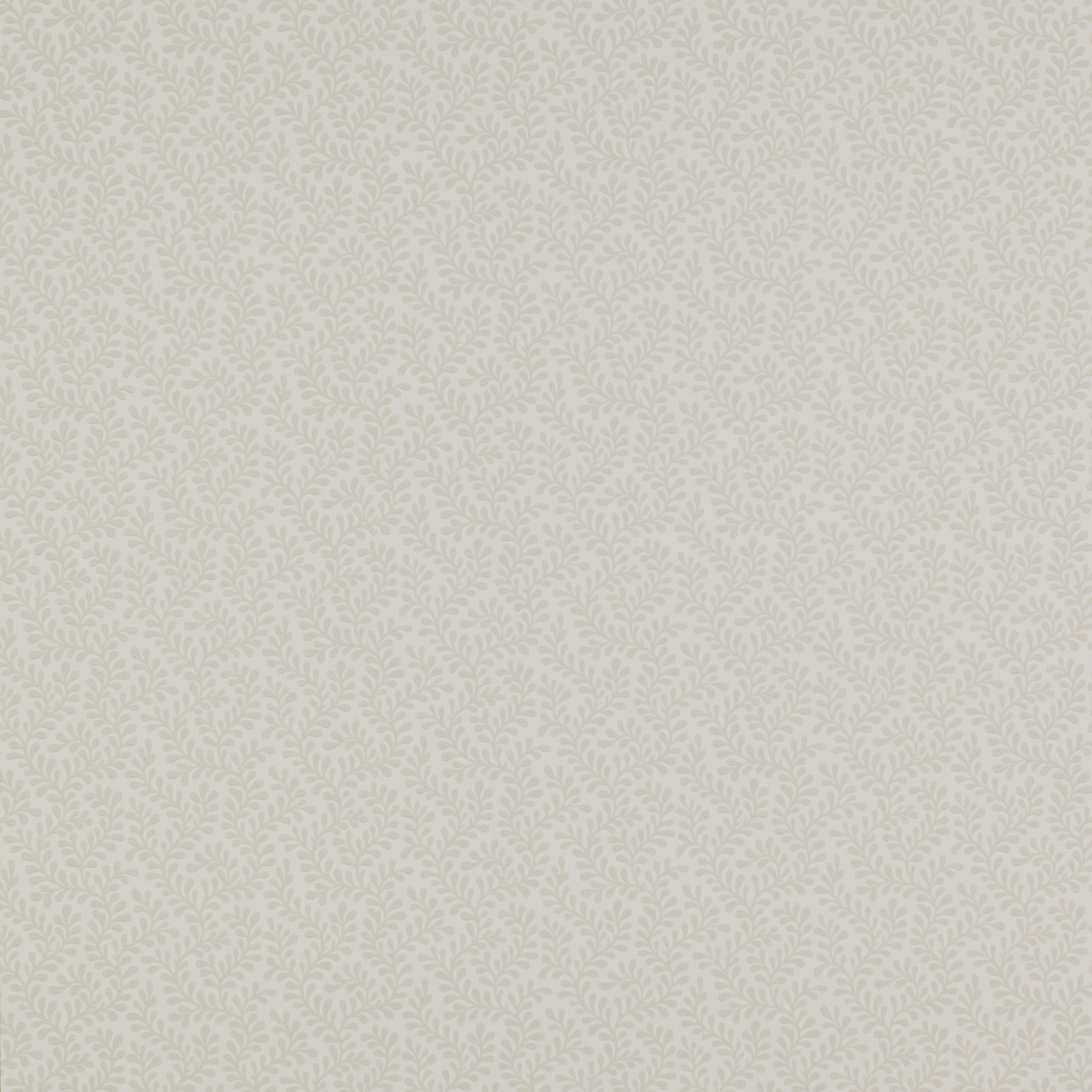 Lataa kuva Galleria-katseluun, Colefax Fowler Tapet Rushmere Grey
