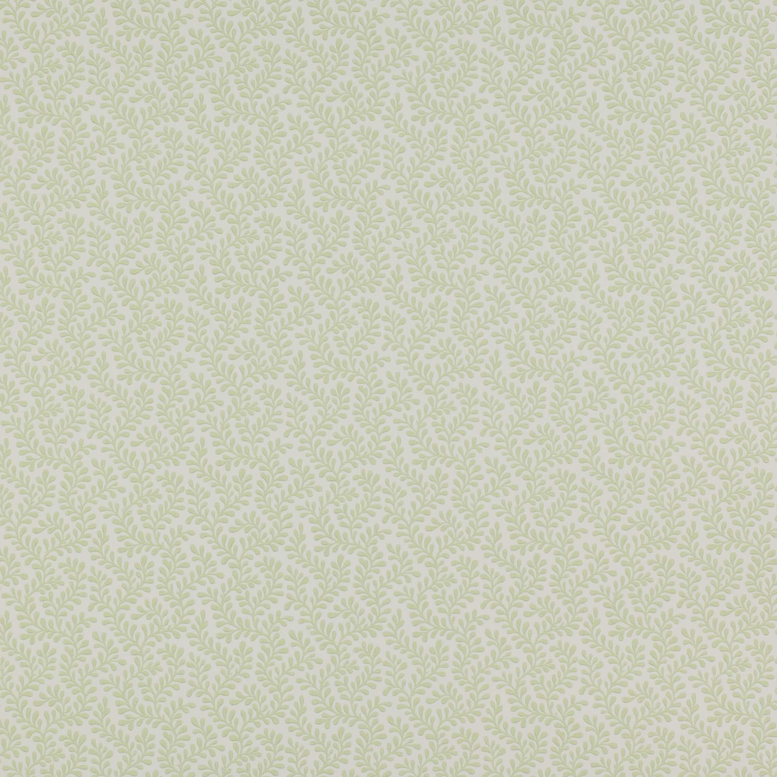 Lataa kuva Galleria-katseluun, Colefax Fowler Tapet Rushmere Leaf
