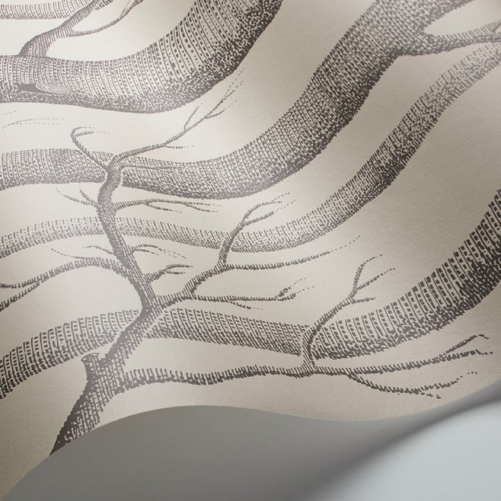 Cole and Son Tapet Woods 9