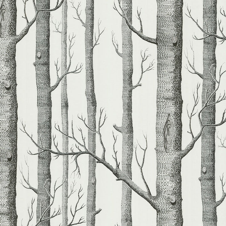 Cole and Son Tapet Woods 47
