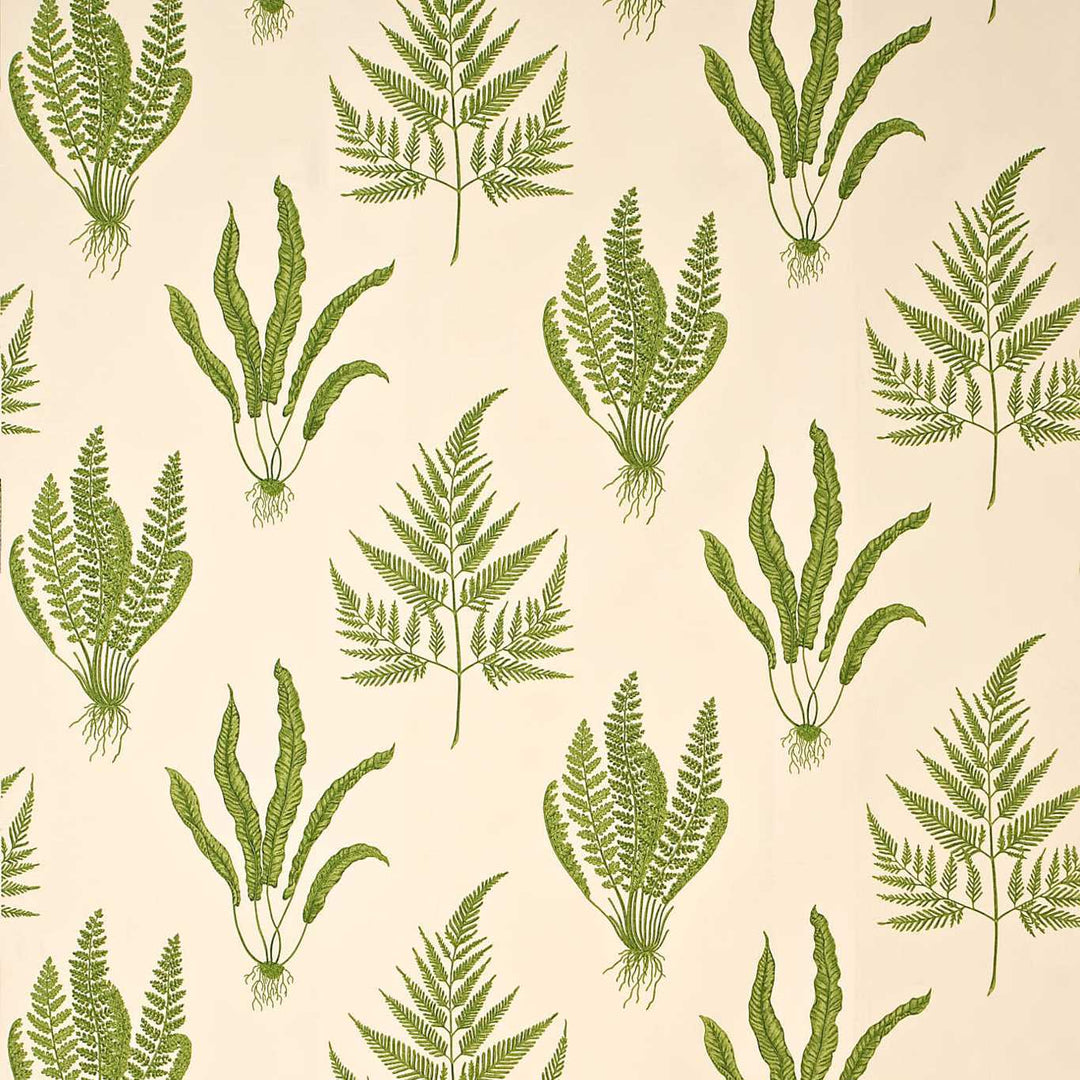 Sanderson Tyg Woodland Ferns Green