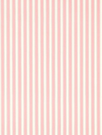 Sanderson Tapet New Tiger Stripe Rose/Ivory