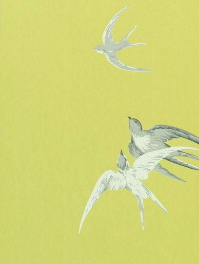 Sanderson Tapet Swallows Lime