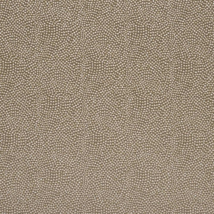 Designers Guild Tyg Sesia Cappuccino