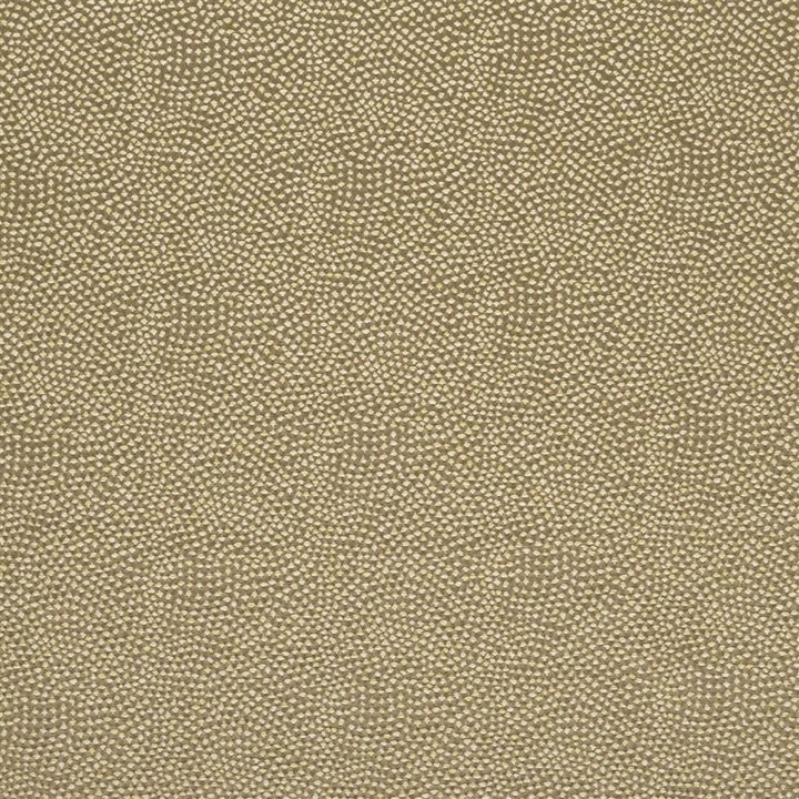 Designers Guild Tyg Sesia Fern