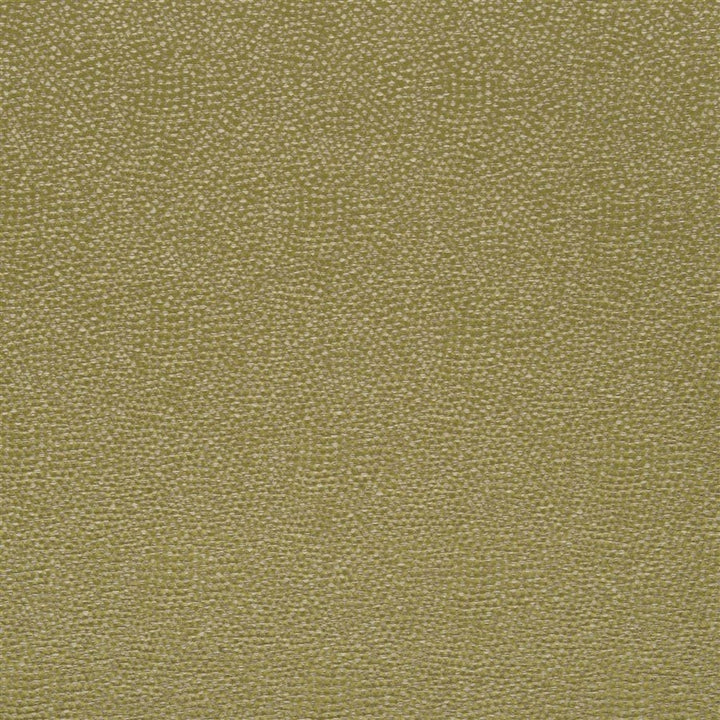 Designers Guild Tyg Sesia Moss