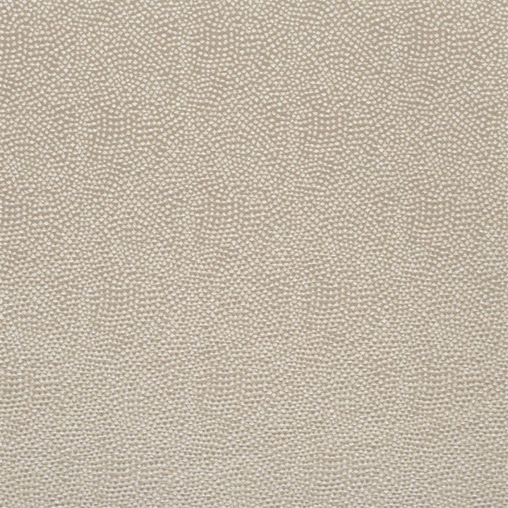 Designers Guild Tyg Sesia Silver Birch