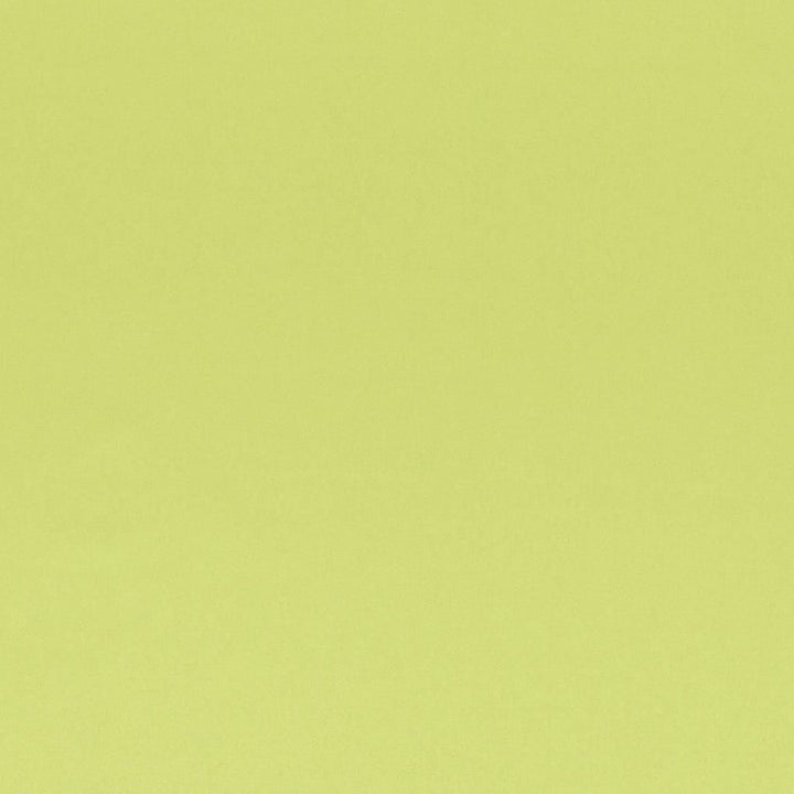 Designers Guild Tyg Tiber Lime