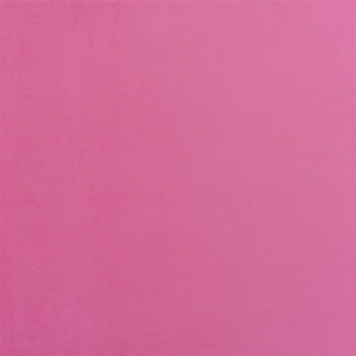 Designers Guild Tyg Trentino Peony