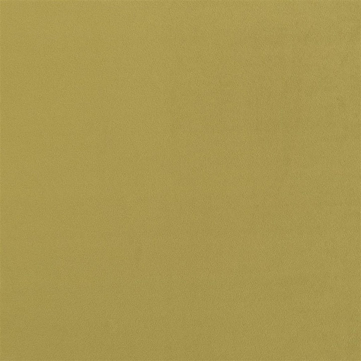 Designers Guild Tyg Trentino Stretto Moss