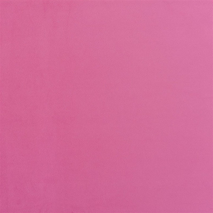 Designers Guild Tyg Trentino Stretto Peony