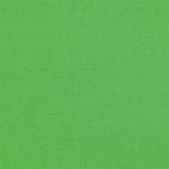 Designers Guild Tyg Valloire Grass