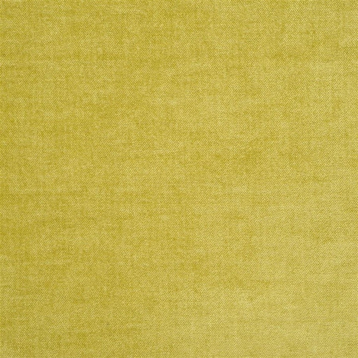 Designers Guild Tyg Zaragoza Acacia