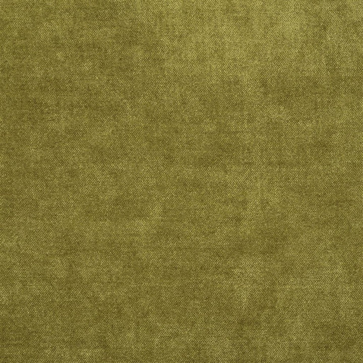 Designers Guild Tyg Zaragoza Moss
