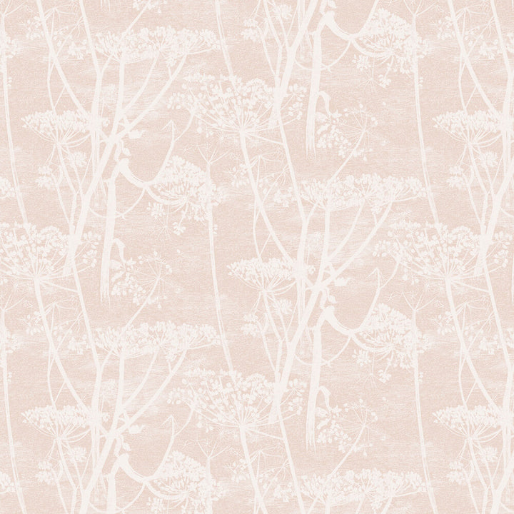 Cole and Son Tapet Cow Parsley 28