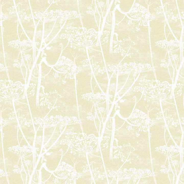 Cole and Son Tapet Cow Parsley 53