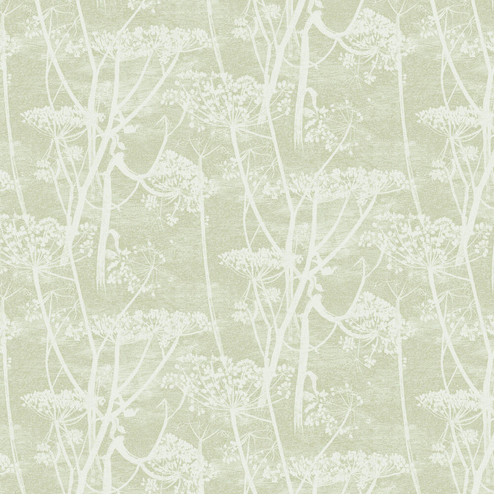 Cole and Son Tapet Cow Parsley 29