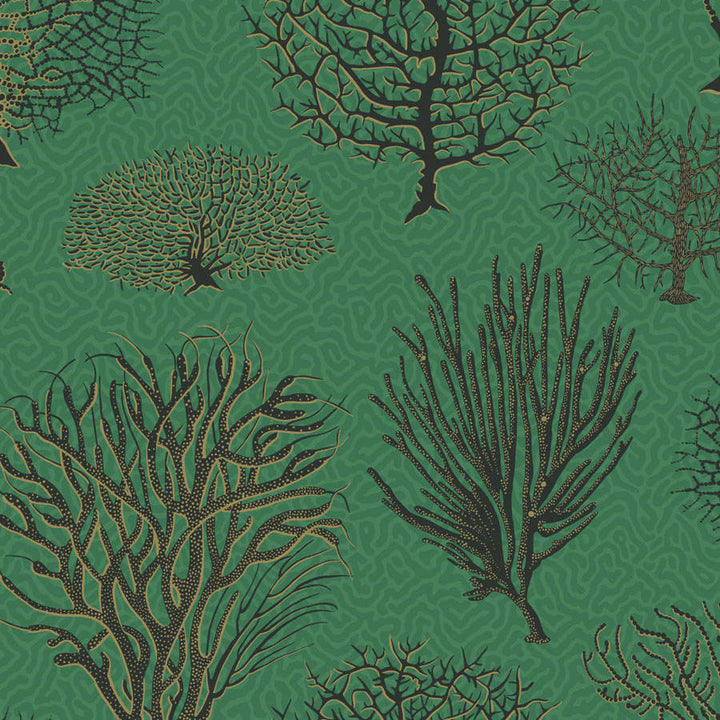 Cole and Son Tapet Seafern 07