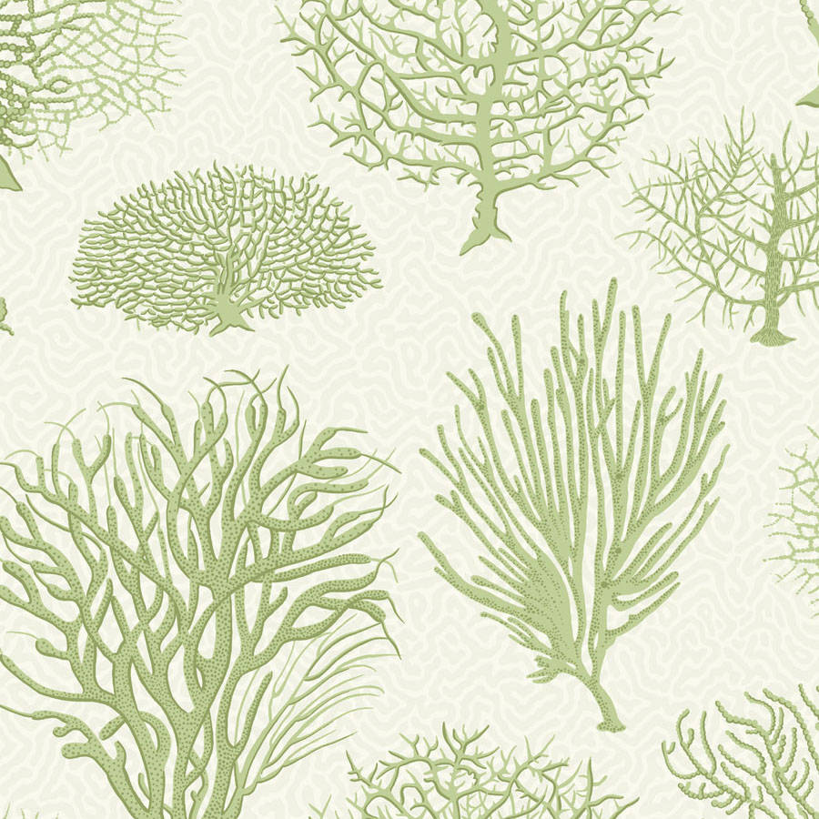 Cole and Son Tapet Seafern 08