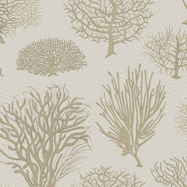 Cole and Son Tapet Seafern 10