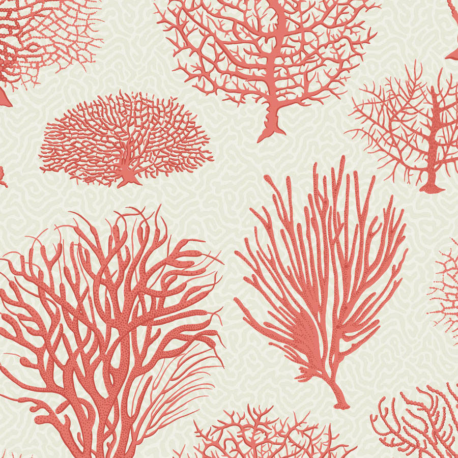 Cole and Son Tapet Seafern 11