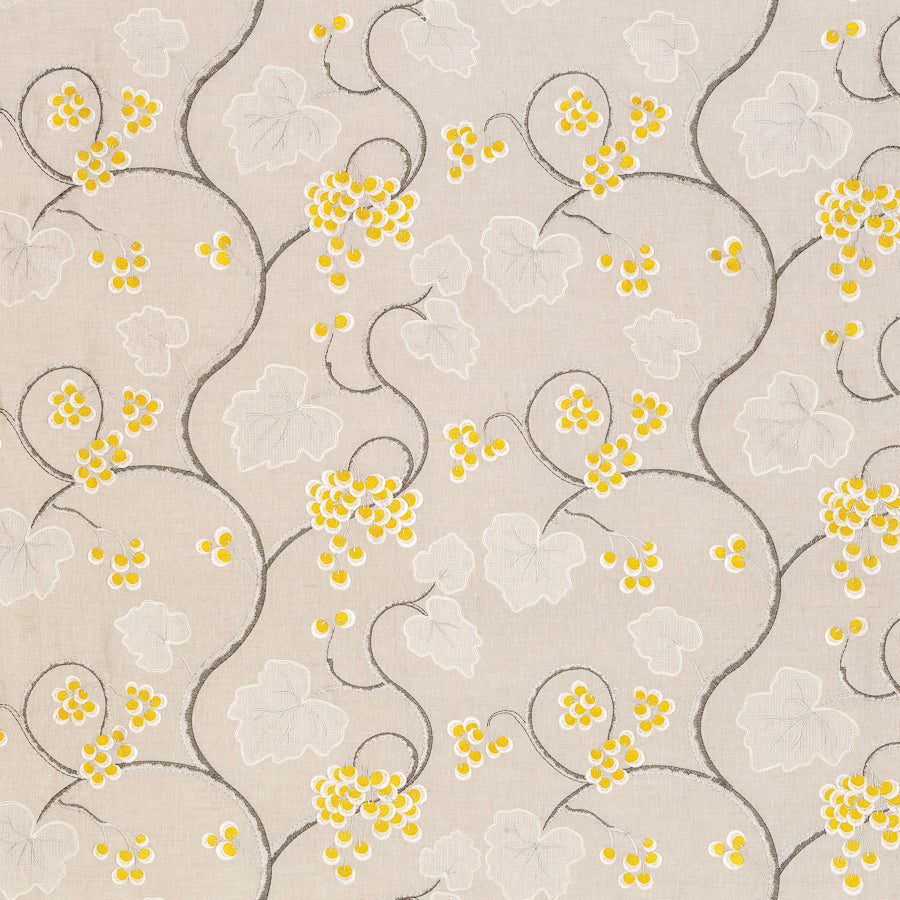 Persian Garden — Osborne & Little