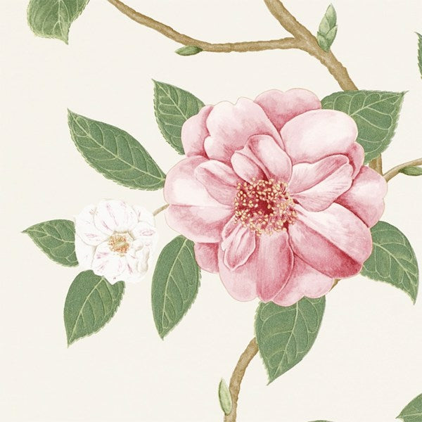 Voyage of Discovery Wallpapers — Sanderson