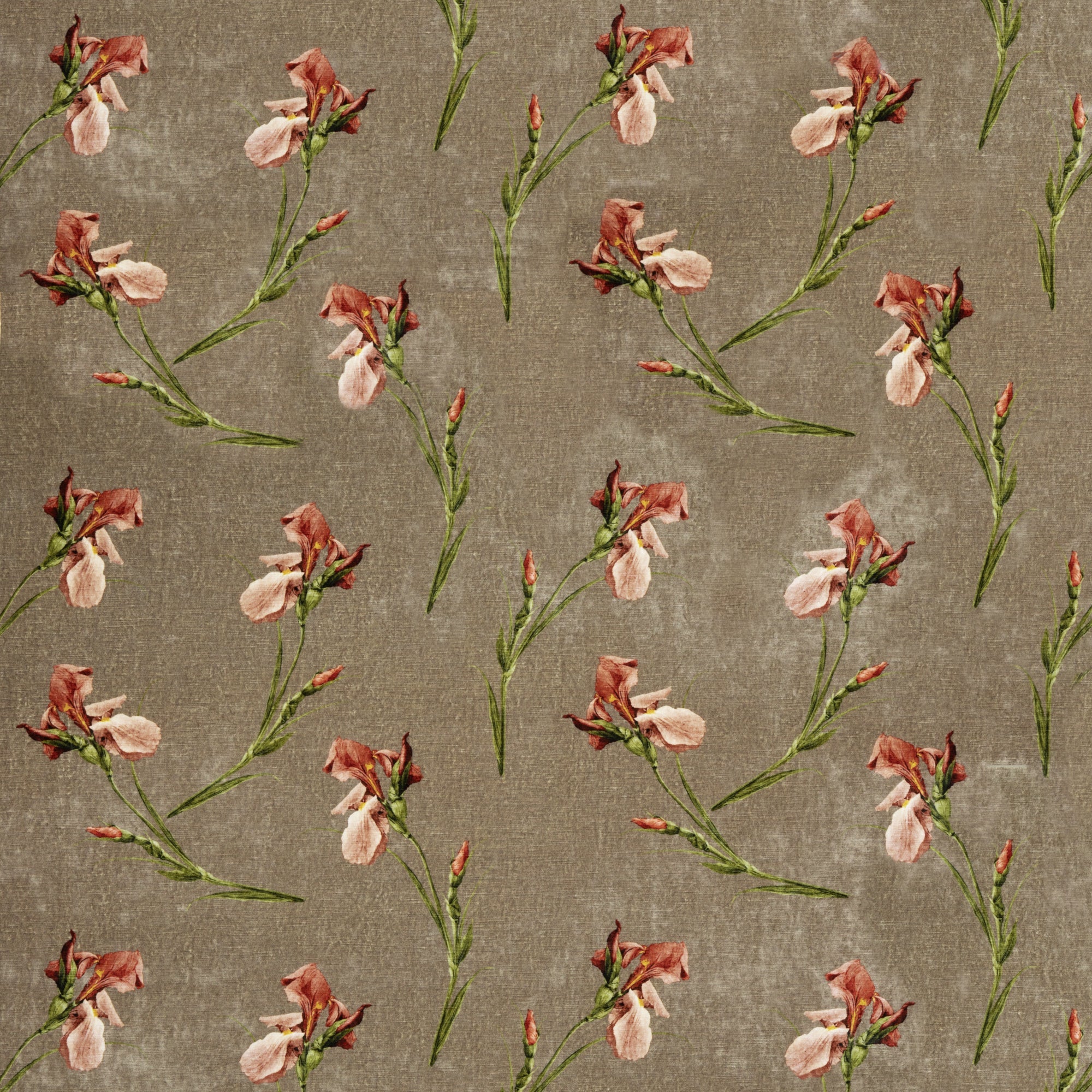 Signature Velvets — G P & J Baker