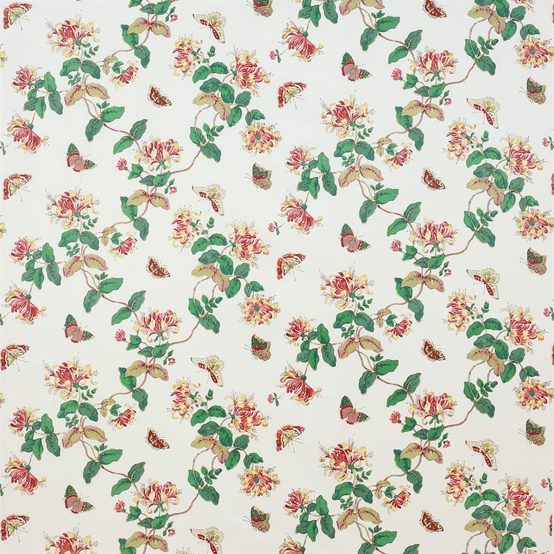Honeysuckle — Colefax Classics II — Colefax & Fowler