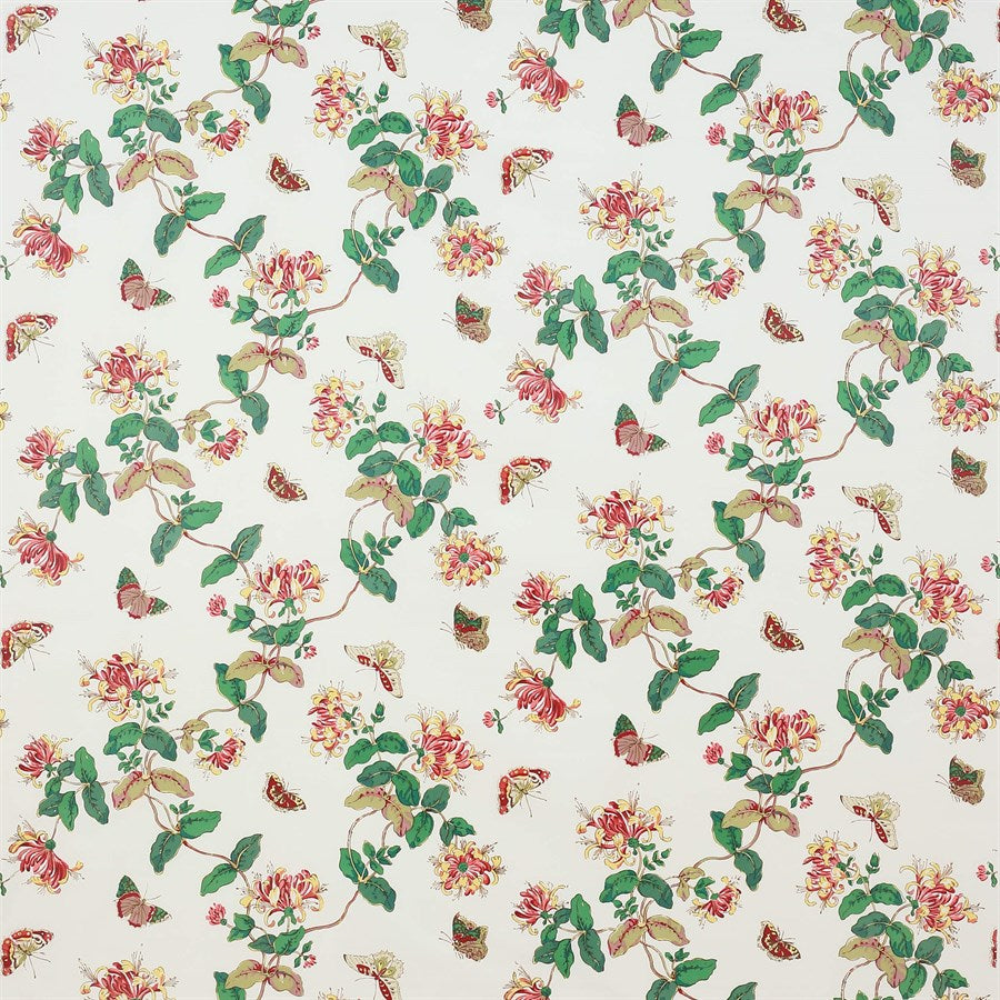 Honeysuckle — Colefax Classics II