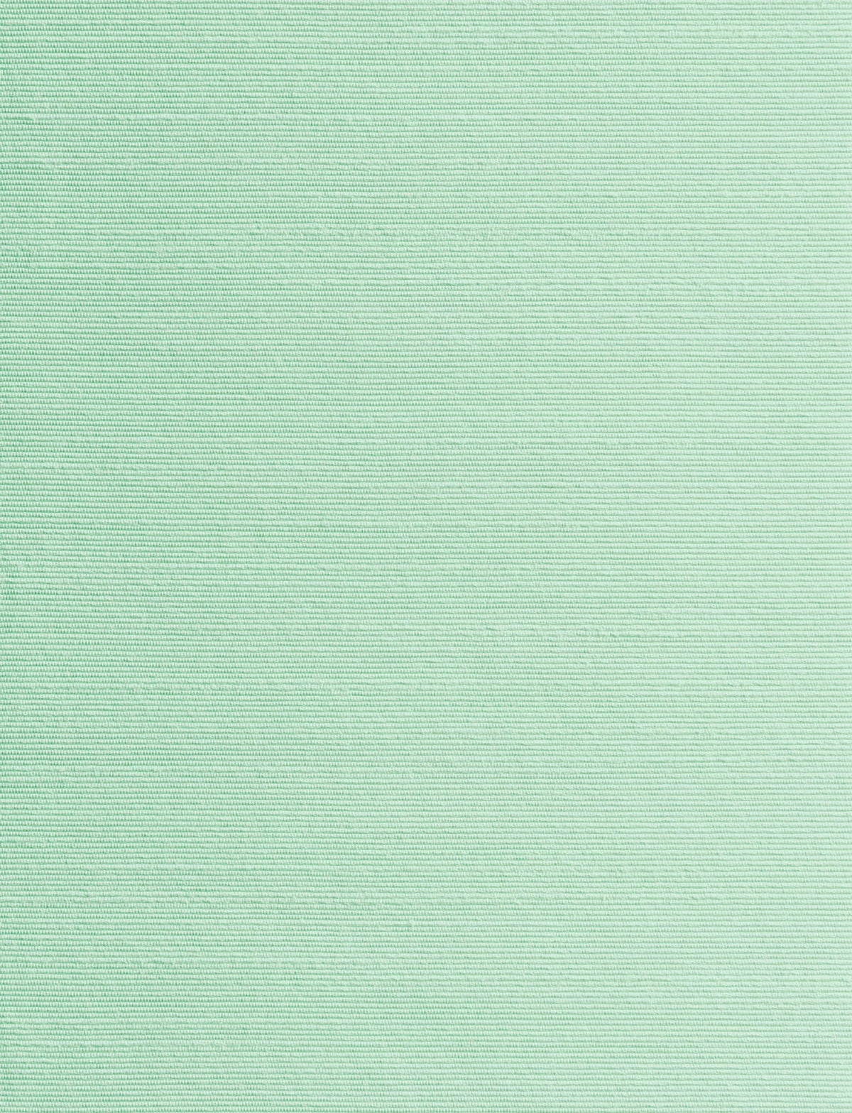 Alter Ego Wall Celadon (20) — Dedar tapet