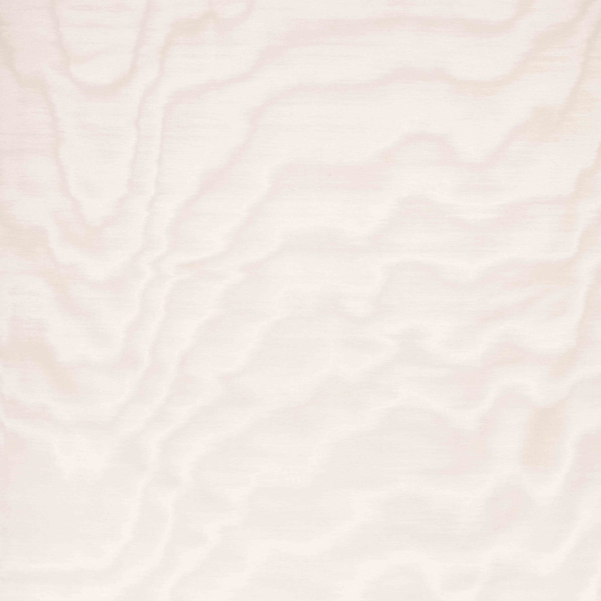 Amoir Fou Wall White (32) — Dedar tapet
