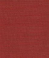 Drusilla Wall Carminio (11) — Dedar tapet
