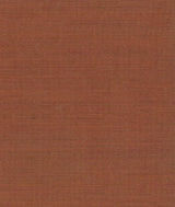 Drusilla Wall Coccio (12) — Dedar tapet