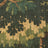 Quasi verdure (1)