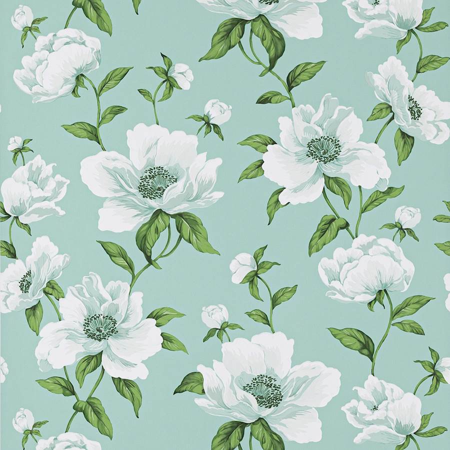 Bianca Jade — Manuel Canovas tapetprov