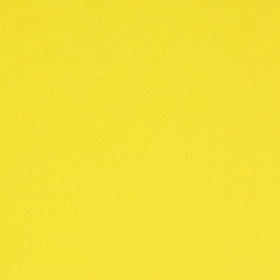 Nura Curry — Manuel Canovas tygprov