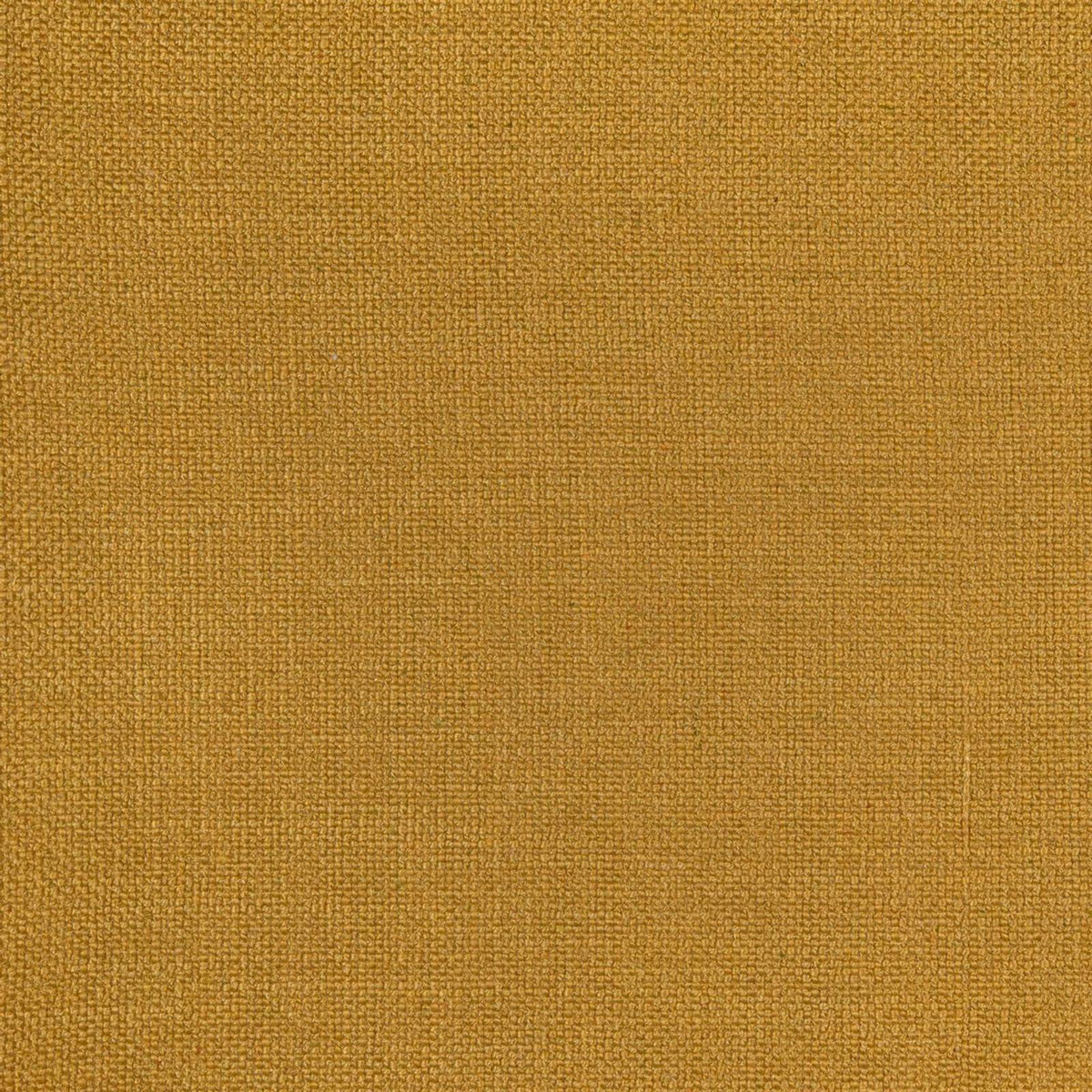 Paco 36 — Nobilis tyg