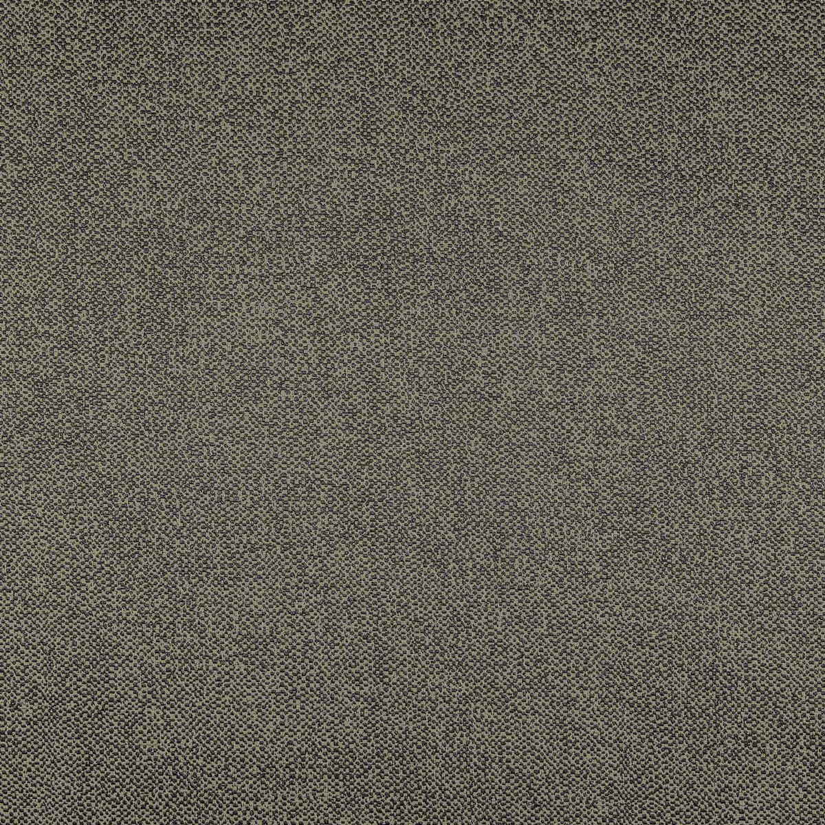 Needle 29 — Nobilis -kangas