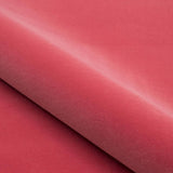 Otello N°2 49 — Nobilis fabric