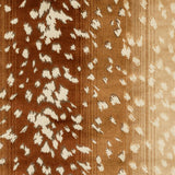 Velours Faon 14 — Nobilis fabric, room setting