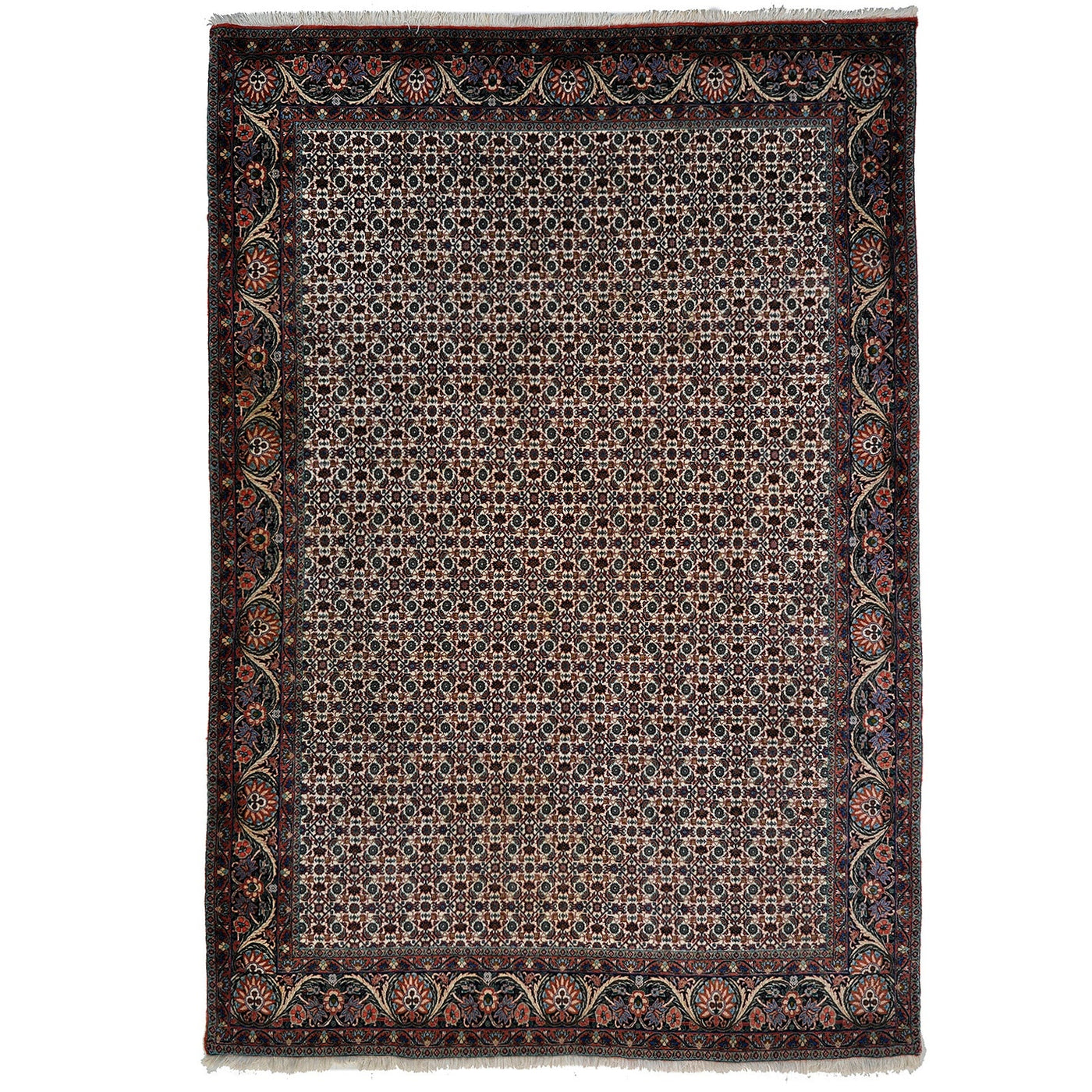 Bidjar 293x206 cm