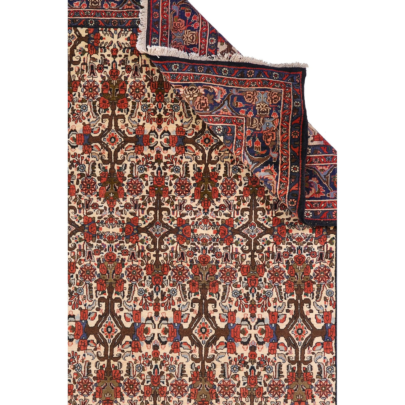 Bidjar 288x210 cm