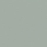 Forenza Silver Blue - Romo Tyg